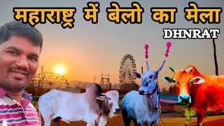 बेलो के लिए मशहूर मेलाll Dhanrat ka mela ll navapur llmahararastrall MahendraGamitvlogs