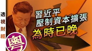 習近平壓制資本擴張 為時已晚 (粵語)｜透視財經【0019】SinoInsider 20201228