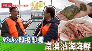 銀聯雲閃付呈獻：煮題COOK 4 大食四方 ｜ EP20 PT1｜Ricky即撈即煮 南澳沿海海鮮｜ 煮題COOK ｜  張錦祥   ｜ 余健志  ｜ HOYTV ｜ HOY77