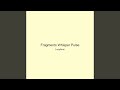 Fragments Whisper Pulse