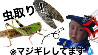 虫取り！【閲覧注意】こうちゃん逆ギレ