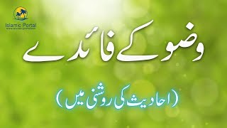 Wazu ki Fazilat | Importance of Wudu | Hadees Hindi | Hadith in Urdu