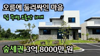 [분양 완료] 실거주용으로 딱 좋은 제주도 3억대 추천 하우스! 제주도 타운하우스, 제주도 주택 매매, 제주도 전원주택