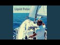 Liquid Pulse