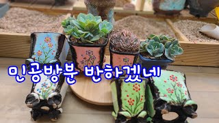 23.6.22 프리우먼 반했어요.민공방분 제가 주문한 사이즈 너무 이뽀요