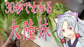 30秒で大陸妹をボロボロ日本語で解説する【VOICEROID 東北イタコ】