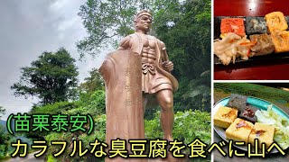 【台湾グルメ】カラフルな臭豆腐を食べに苗栗泰安にある洗水坑豆腐街(清安豆腐街)  に行きました。小さな老街ですが雰囲気よく豆腐が美味しいお店たくさんあります。