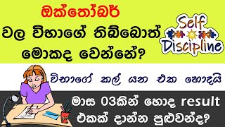 ස්වයං විනයක් ඇතුව මේ මාස 03 වැඩ කරන්න sl learning - Dilki Mallikaarachchi