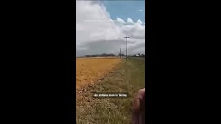 Man crashes stolen beer truck into deputy’s vehicle
