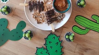 La recette des brochettes de criquets Teriyaki en 50 secondes