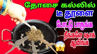 இனி பல்லி தொல்லை வீட்டில் இல்லை | இந்த 2 பொருள் போதும் | How to kitchen tips in Tamil