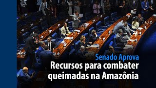 Senado Aprova: recursos para combater queimadas na Amazônia (17/2 a 21/2)