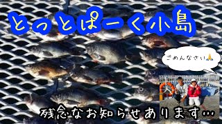 【とっとパーク小島】釣り公園とっとパーク小島で朝から晩まで釣り‼️がっ…残念なお知らせあります…