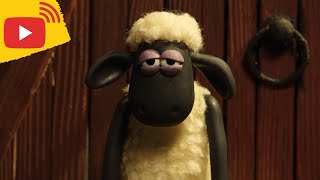 Shaun the Sheep - LIVE 🚨 BRAND NEW EPISODES 🐑 Cartoons for kids, Preschool, Farm, Family, Happy