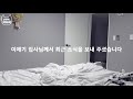 훌쩍 큰 아기고양이 이애기 근황 째폴보 u0026프렌즈