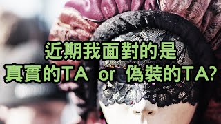 【Elaine的塔羅- 愛情篇】最近我面對的TA，是真實的TA? 還是假面的TA?  (曖昧/交往/分手/復合)