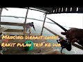 MANCING DI RAKIT GHANI RAKIT PULAU|TRIP KE 2