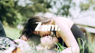 Sam Feldt - Show Me Love (EDX's Indian Summer Remix)