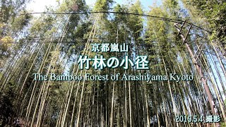 京都嵐山 竹林の小径 The Bamboo Forest of Arashiyama Kyoto