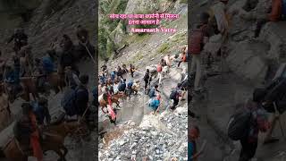 Amarnath Yatra 2024 #amarnath #pahelgam #jammuandkashmir #baba #viralvideo #mahakal #shorts #shorts