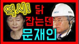 닭 잡는데는?? 문재인대통령!