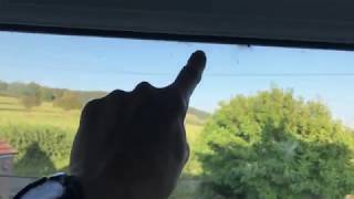 Why are there so many spiders on our window??!