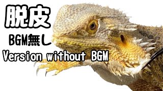 【no music6】脱皮音　BGM無し