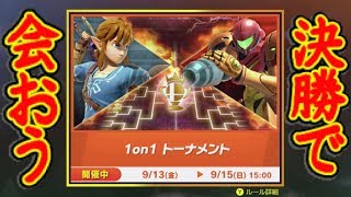 [視聴者参加型]スナイプ歓迎！1on1トーナメントの決勝で会おう！ [#スマブラSP]