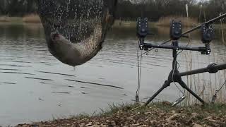 north benfleet hall lakes 1