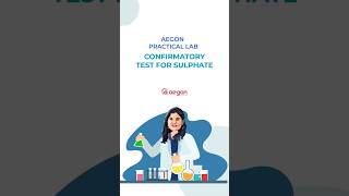 Confirmatory Test for Sulphate | Plus Two Chemistry Practicals | Aegon