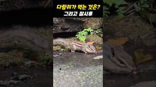 #그리고잠시후모습을드러낸주인공 #shorts