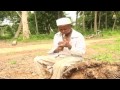 Nyoka Wa Mwamanga