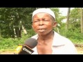 Nyoka Wa Mwamanga