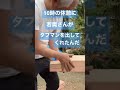 【日本の大工の技】どぶろっくな大工 japanese carpenter skills shorts