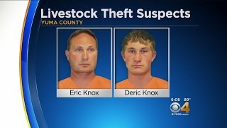 Father, Son Charged In Cattle Rustling Case