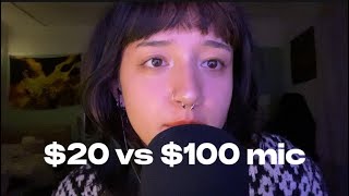 ASMR $20 vs $100 microphone!!🎙️ (Apple mic VS blue yeti)