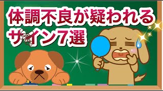 犬の体調不良が疑われるサイン7選【獣医師解説】