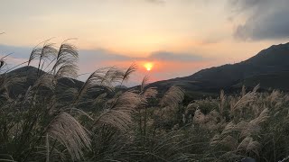 健行映象 - 風櫃嘴上擎天崗(頂山石梯嶺步道)20191110