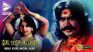 BINJ KURI MON JURI | RANARAJ | RAGASUDHA | PREMA | Echo Santali Movie \u0026 Songs