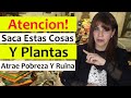 ❌ COSAS y PLANTAS que DEBES SACAR de Tu CASA URGENTEMENTE: ATRAEN POBREZA, RUINA y ALEJAN el DINERO!