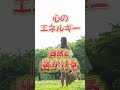 【不登校】子どもの体力と健康が心配 shorts