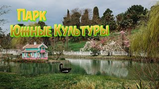 Cочи парк Южные Культуры. Что посмотреть Адлер Сочи #дендропарк