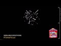 Firework Demo - Great Expectations 9 Shot - 200 Gram Cake (Winda)