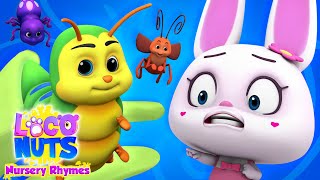 Bugs Bugs Bugs Song | Insect Song | Creepy Crawly Bugs | Nursery Rhymes and Kids Song with Loco Nuts