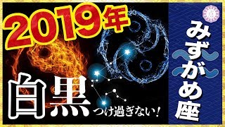 【占い】2019年みずがめ座(水瓶座)の運勢！【タロット・易】