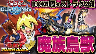 ［BOX1周とストラク］無課金でも簡単にすぐ組めて強い！「ライトニング・シフト」魔族鳥獣デッキ（ラッシュ/デュエルリンクス）