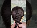 khopa hairstyle | hime cut hairstyle | saree hairstyle | korean hairstyle | korean style dress ❤️