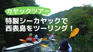 西表島フィールドガイド南風見ぱぴよん・カヤックツアー