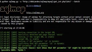 How To Run SQLmap On Windows
