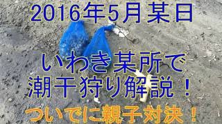 2016年5月某日 いわき某所で潮干狩り解説！（ついでに親子対決！）